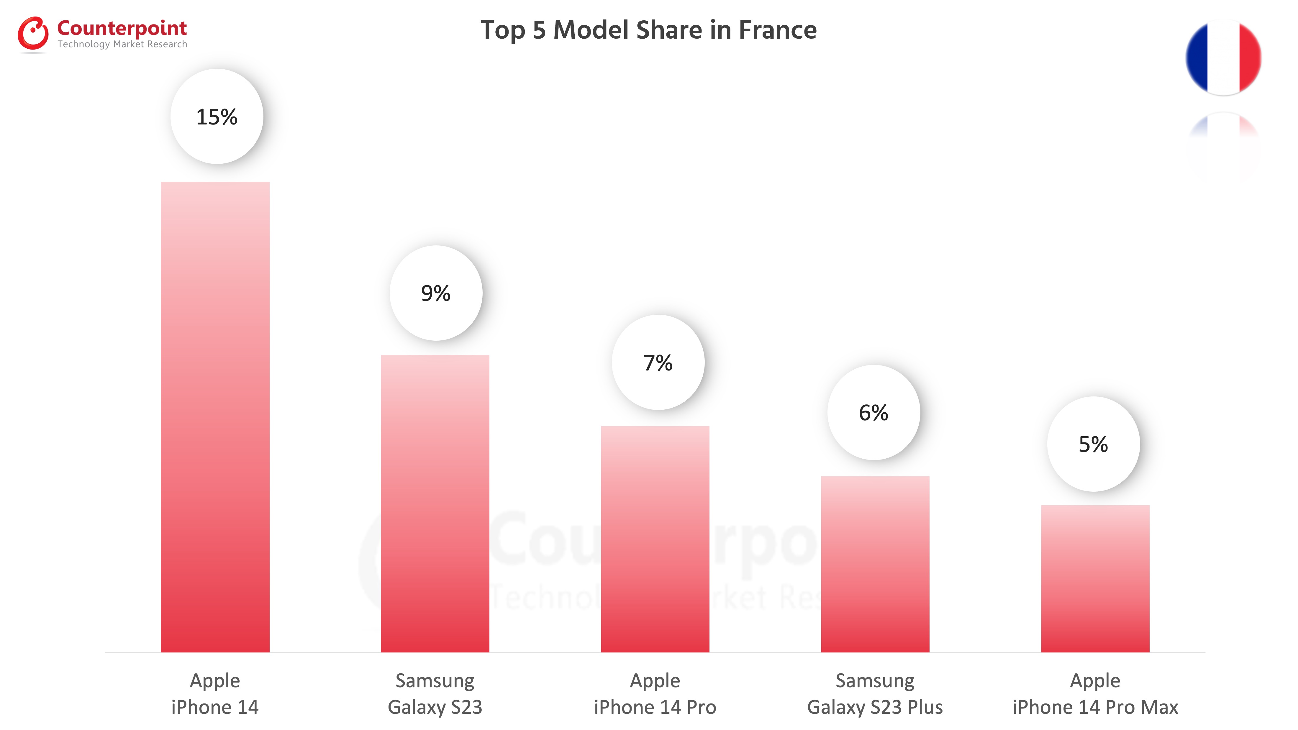 Top 5 Model Share in France
