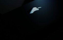 苹果iPhone 12