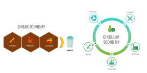 :线性经济vs循环经济